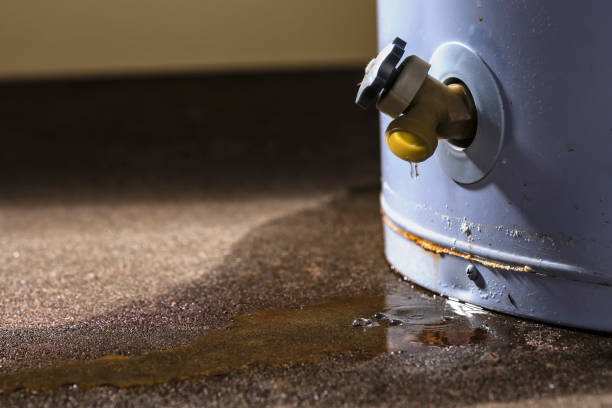 Best Fire Damage Restoration  in Harriman, TN