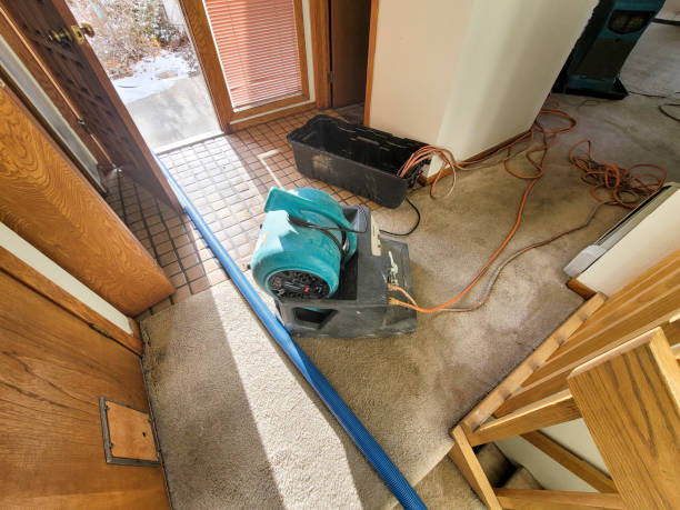 Best Ceiling water damage repair  in Harriman, TN