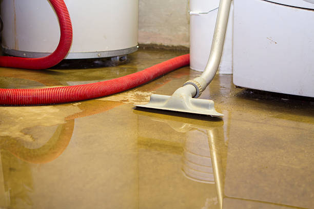 Water damage restoration experts in Harriman, TN