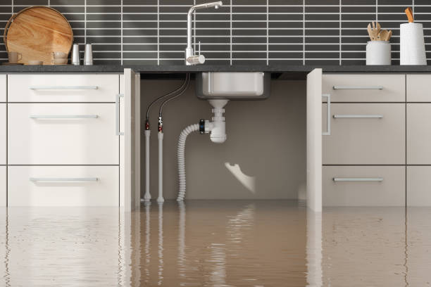 Best Water damage cleanup near me  in Harriman, TN