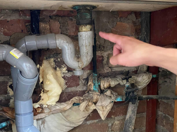 Best Professional water damage repair  in Harriman, TN