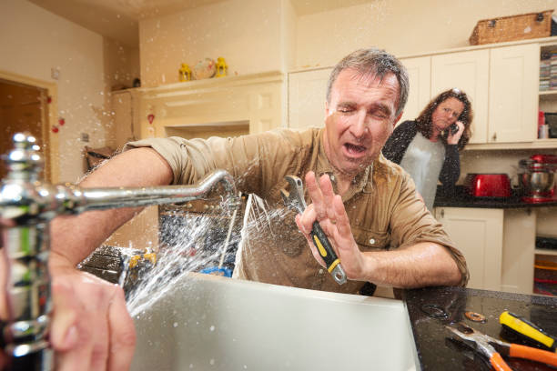 Best Basement water damage restoration  in Harriman, TN
